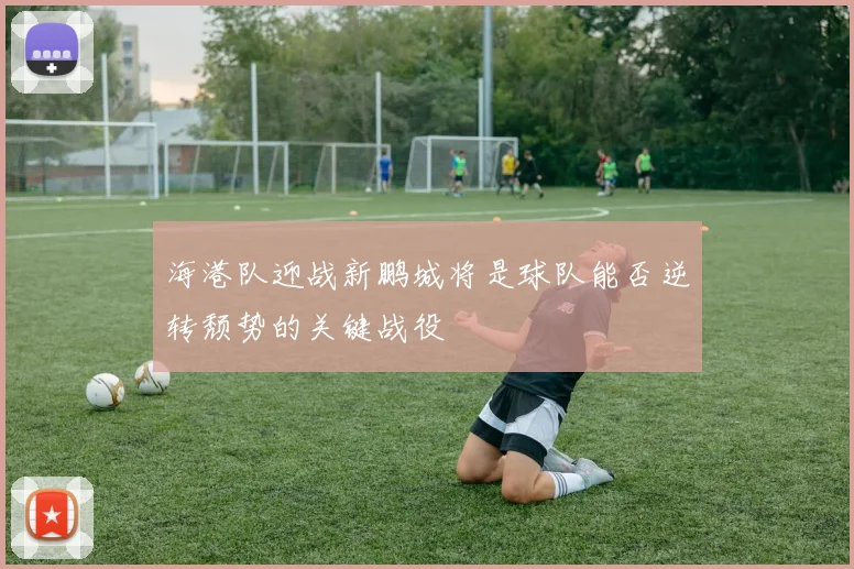 海港队迎战新鹏城将是球队能否逆转颓势的关键战役